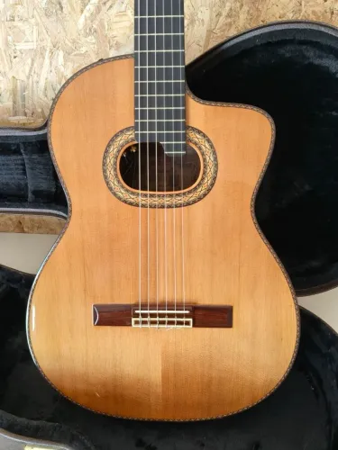 Takamine Hirade 