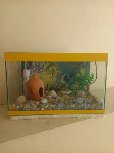 Aquário ornamentais