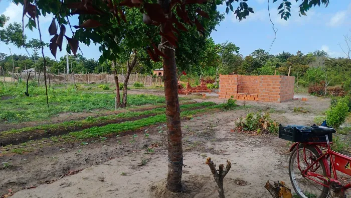Horta a venda, vai com casa 4/4 terreno plantado