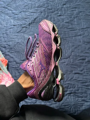 Mizuno prophecy 5