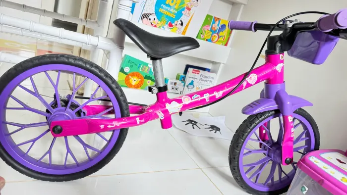 Bicicleta do equilíbrio 