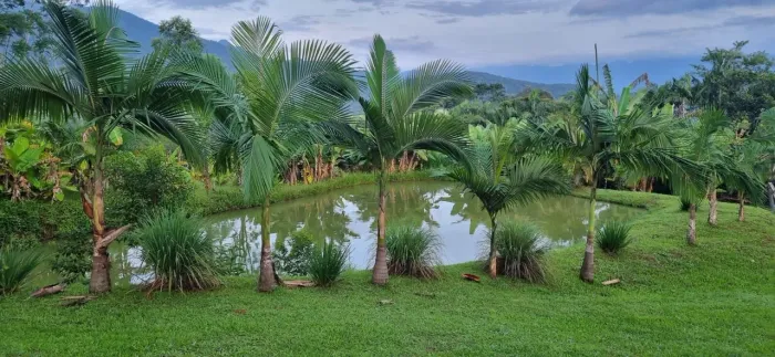 Chácara à Venda em Rio Sagrado Morretes/PR Excelente oportunidade para quem busca tranqui