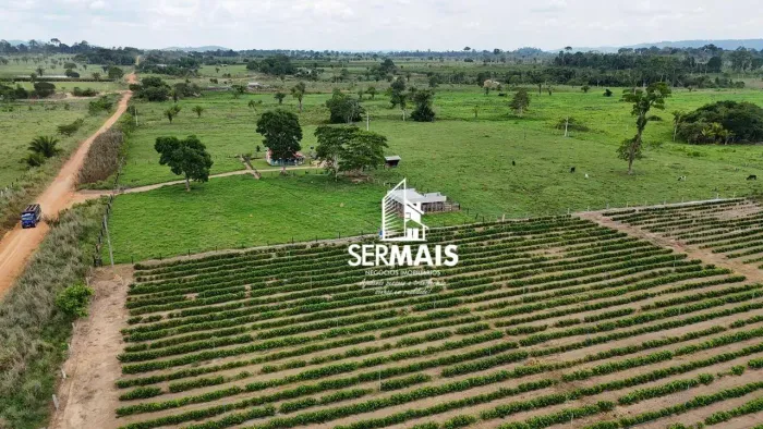 FAZENDA À VENDA SANTANA DO GUAPORÉ (RO)