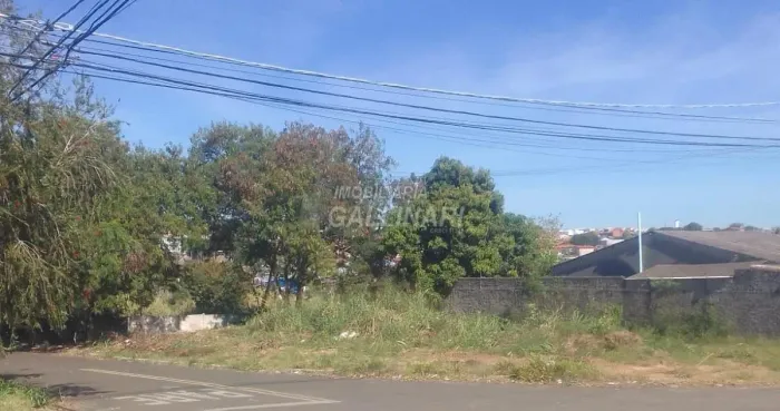 terreno - Jardim Paraíso de Viracopos - Campinas
