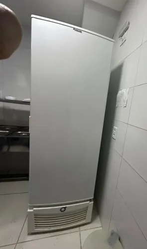 Freezer vertical Fricon