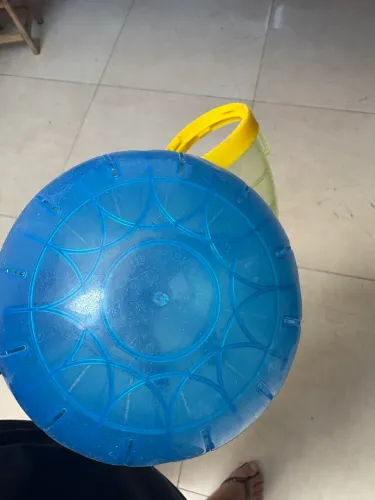 Bolinha Globo hamster passear