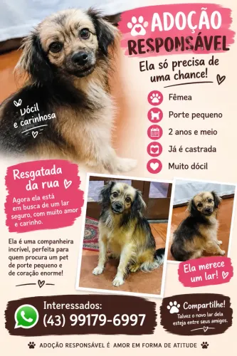 Doação