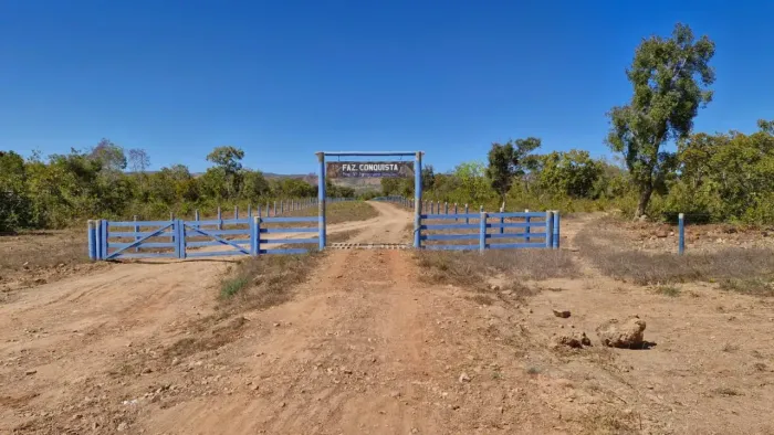 Fazenda Conquista - Tocantins