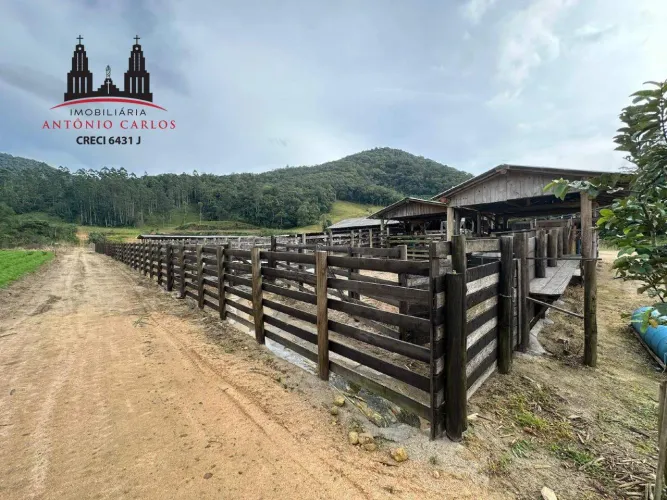 Sítio com 2 hectares em Antônio Carlos/SC Estrutura pronta para pecuária e lazer