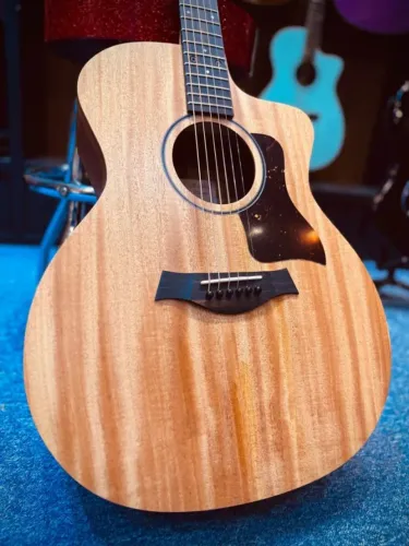 Violão Taylor 24ce Martin Gibson Epiphone Fender Tagima Seizi Takamine Herton