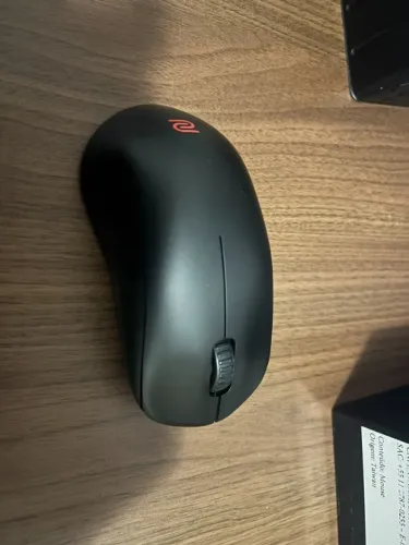 Mouse Zowie U2