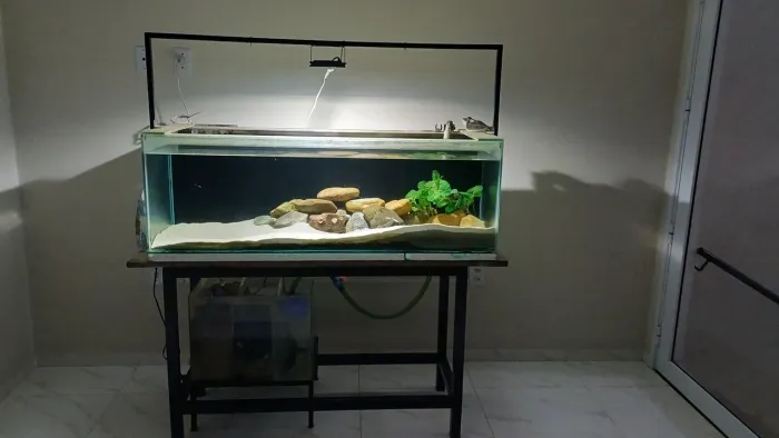 Aquario 280L sump 80L