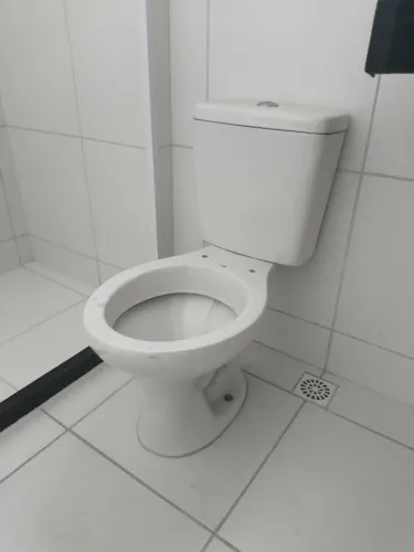 Bacia sanitária com acoplado celite