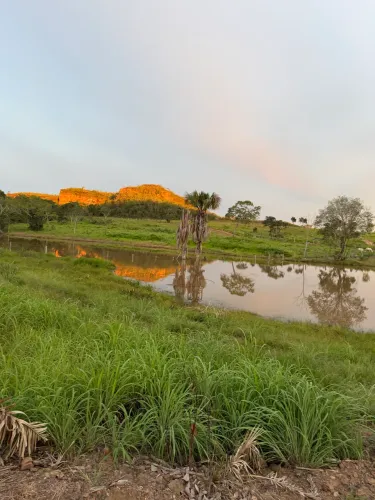 Alugo Fazenda Lagoa do Tocantins 