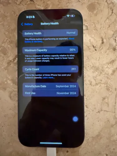 iPhone 16