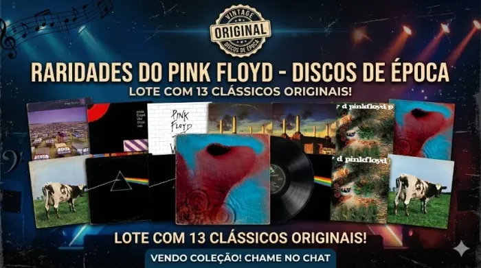 PINK FLOYD - VINIL - 13 DISCOS