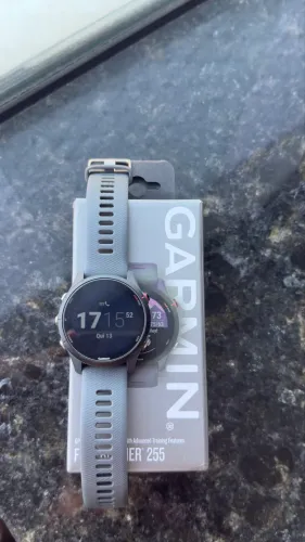 Garmin 255