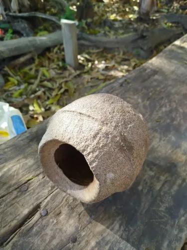 Cumbuca sapucaia