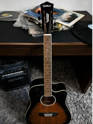 Violão de Aço Waldman DCE-241