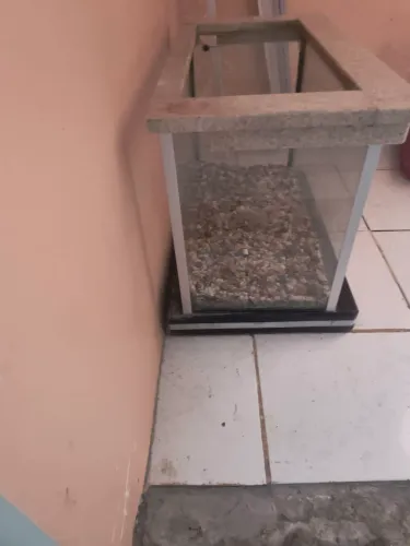 Aquário para peixes