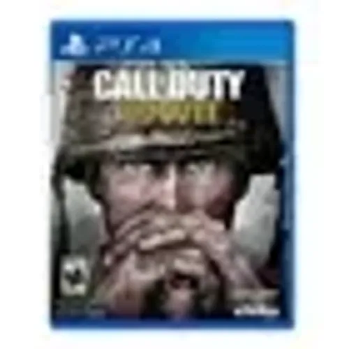 Call of Duty: World War II Standard Edition (Físico) - semi novo