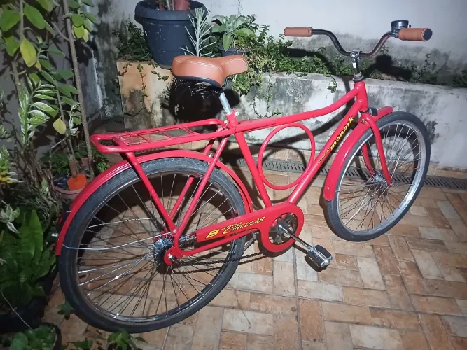 Bicicleta Barra Forte Monark
