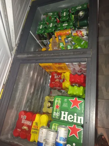 Freezer horizontal