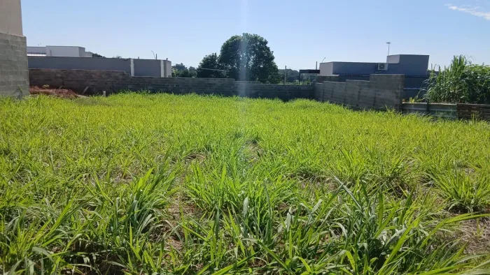 Terreno 500m próximo da Ripack nos Pires - Limeira