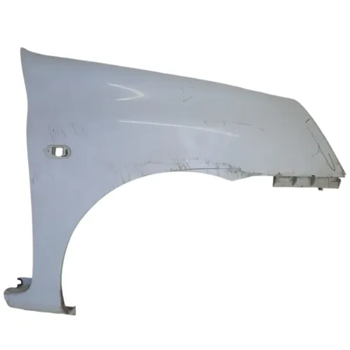 Paralama Direito Renault Clio 2 Portas 2011 C/detalhe