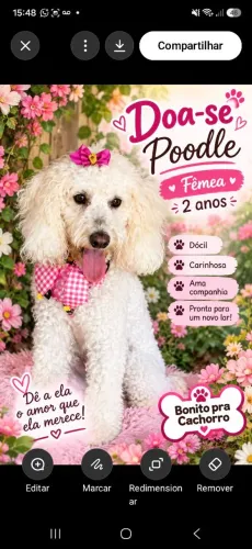 Doa se poodle