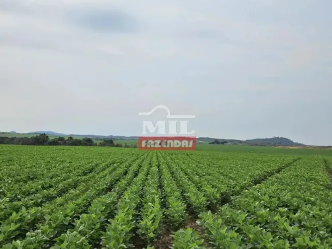 Fazenda 4.720 hectares Santana do Araguaia - PA