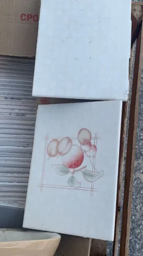 Revestimento Cerâmico - Azulejo Claro - Desenho de Frutas - modelo antigo - POA/RS