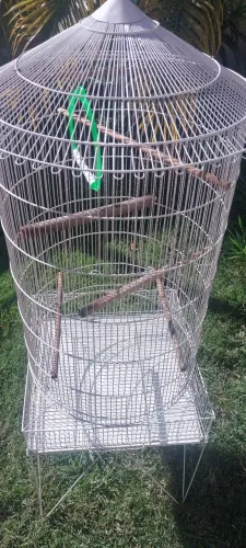 Gaiola para calopsita grande