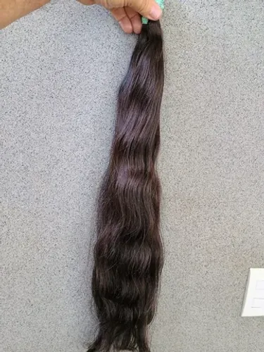 Castanhos Indianos de 75 cm 