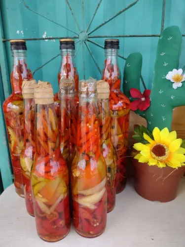 Molho de pimenta valente 