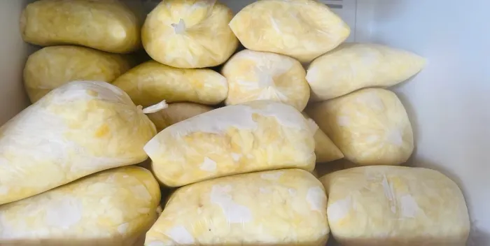 Polpa de fruta Cupuaçu cidade nova 2