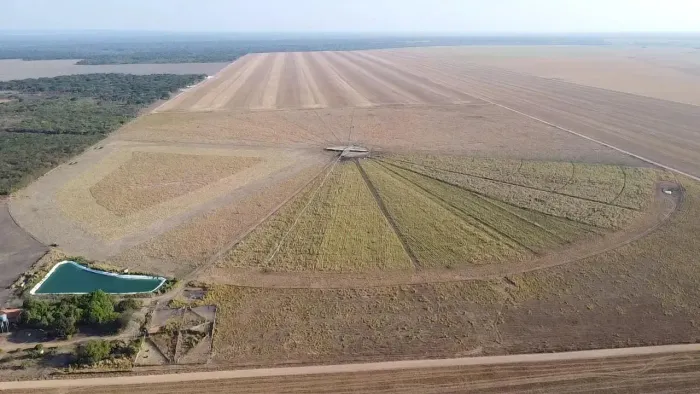 Confinamento bovino  á venda no Piauí,  irrigado por pivô central  em 50 hectares  e ótima