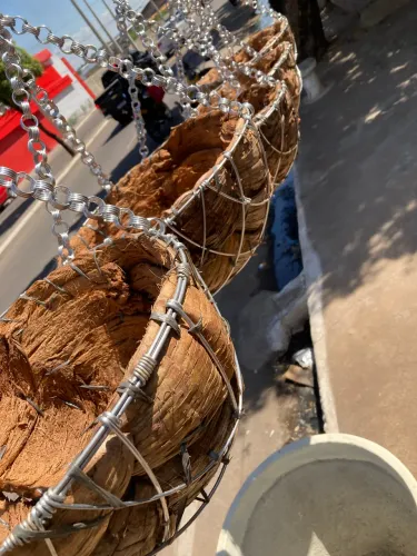 CESTA CASCA DE COCO P/ PLANTAS