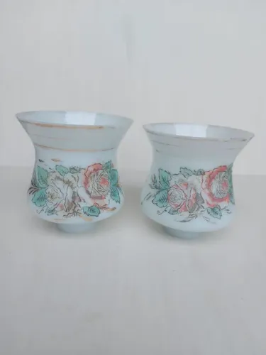 Par de cúpulas para lustre - Flores