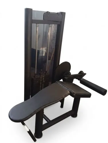 Mesa flexora 