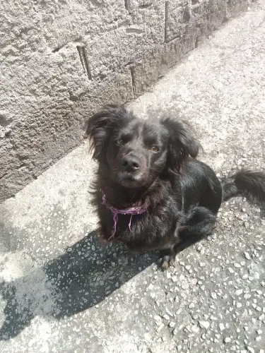 Para Doação ?