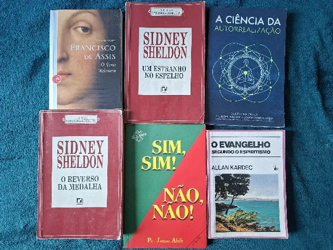 Lote de Livros Diversos Bazar Literatura Biografia e Negócios