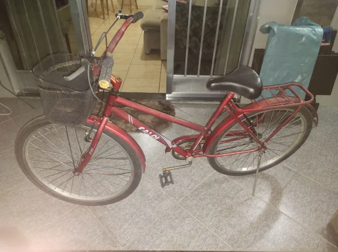 Bicicleta Aro 26