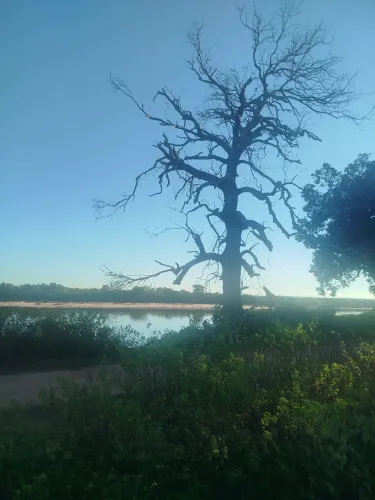 Fazenda em União