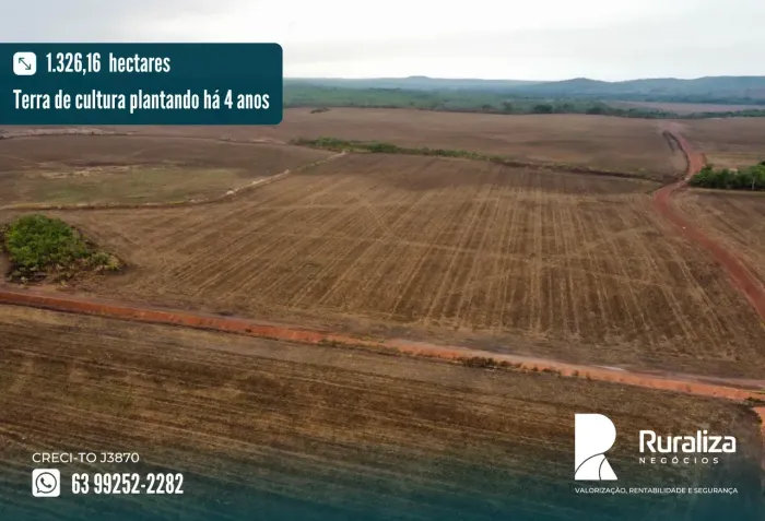 FAZENDA 274 ALQUEIRES | 650 HA EM LAVOURA | 730 HA AGRICULTÁVEIS