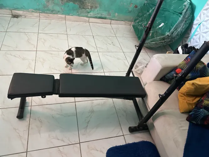 Vendo supino