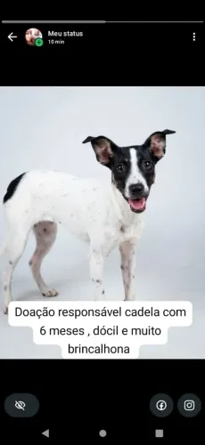 Doação