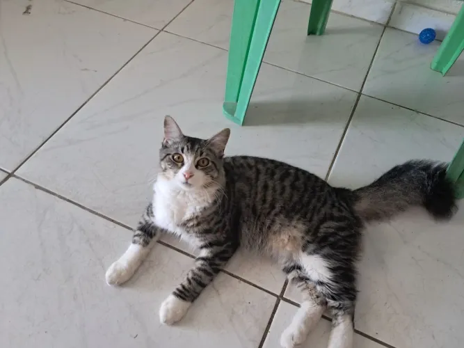 Doaçao