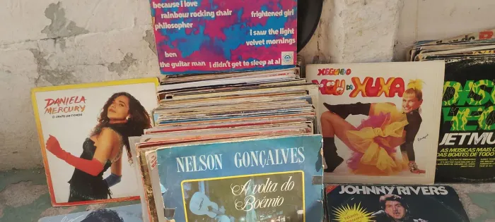 Lps vinil 