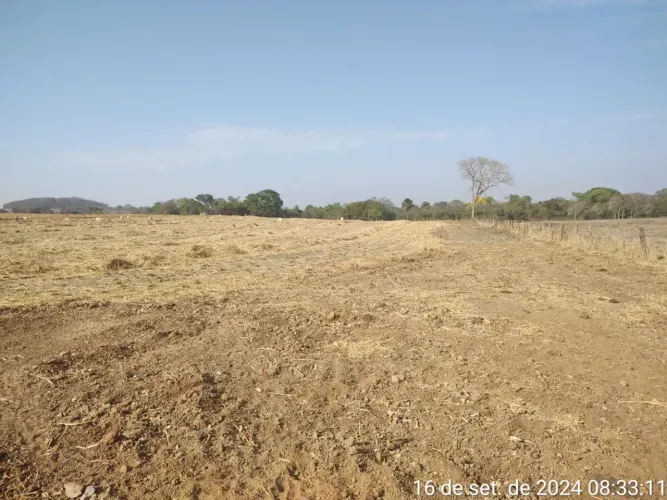 Fazenda a venda, em Guapó - Goiás